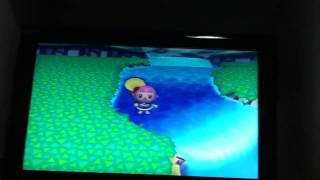 I caught a long locust in the water!!!!