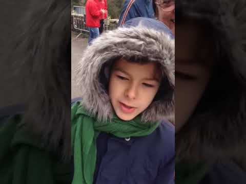 Rally Fettunta 2018 - PS3 Campoli Esplode il motore Clio di Gallo-Gallizia, poi un "dritto" della P