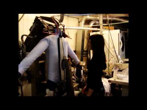 Eagle at dry cleaning plant in Germany