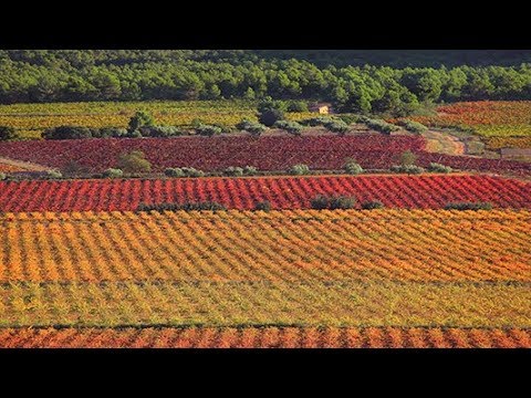 Paisatge i Oratge: Les Terres dels Alforins