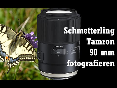Die Kunst der Schmetterlingsfotografie: Perfektion mit Tamron 90 mm