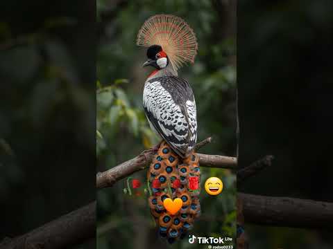 12 de diciembre de 2025