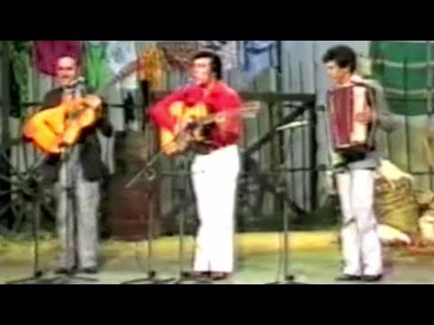 Tibagi & Miltinho - Canarinho Do Peito Amarelo (Gorrioncillo Pecho Amarillo) (Ao Vivo) | 1980