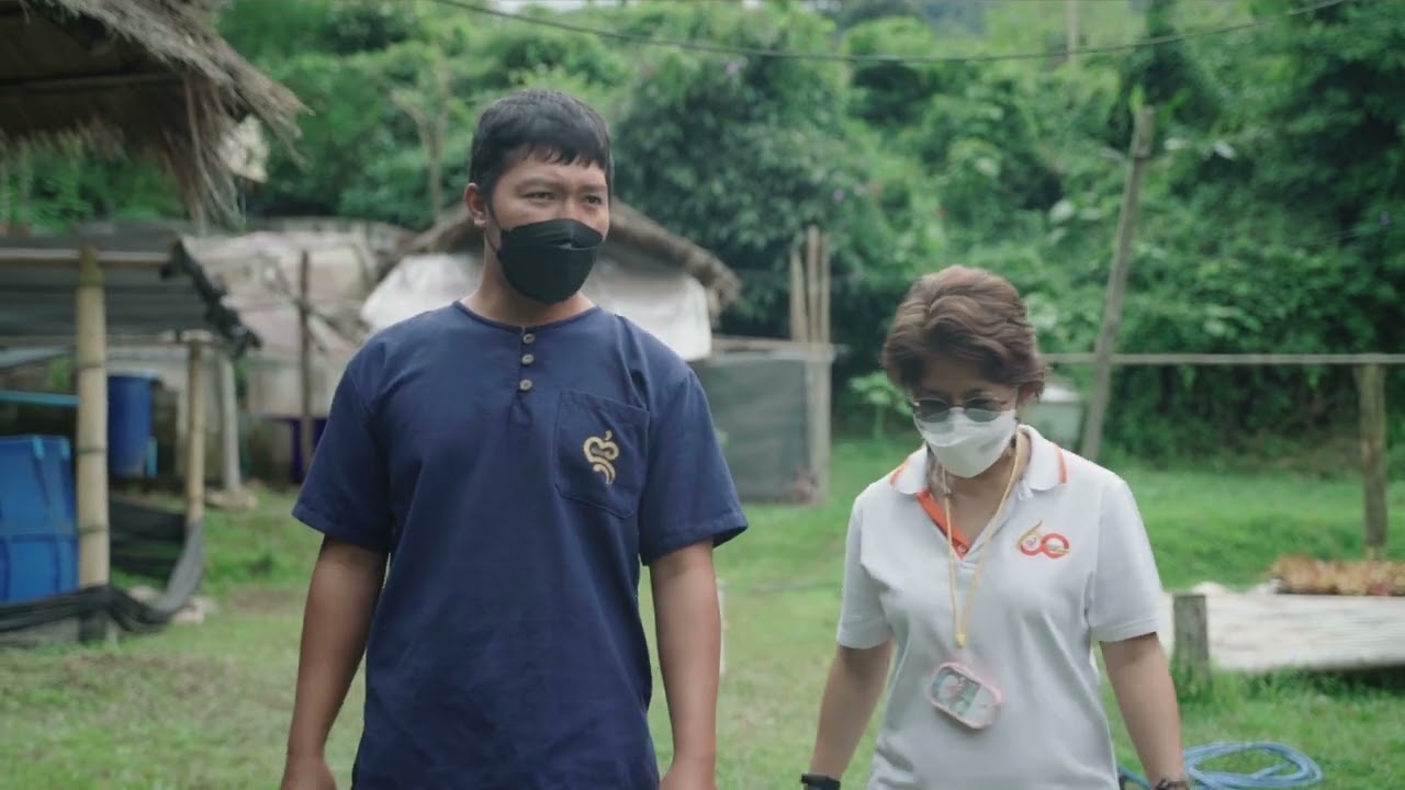 การพัฒนาระบบเลี้ยงปลาดุกหนาแน่นบนพื้นที่สูง