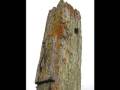 The Old Tower Of Lobenicht 