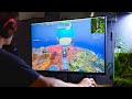 Transform Your Workspace With KTC 32 Inch 2K Monitor The Ultimate Display Upgrade