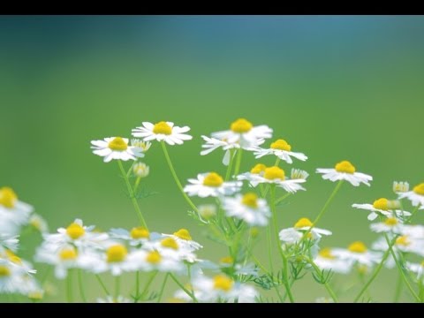 ☆ Lásko, stůj při mě - Jakub Smolík