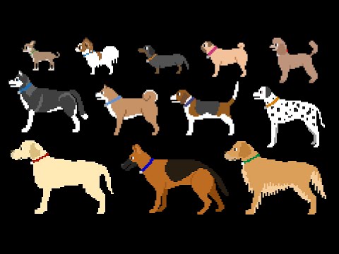 Dog Breeds - The Kids' Picture Show