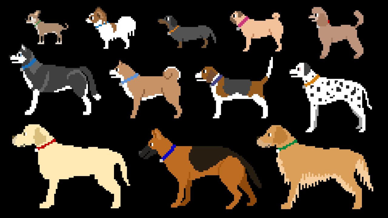 Dog Breeds - The Kids' Picture Show