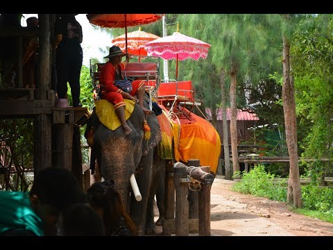 download lagu mp3 mp4 Elephant Ride Bangkok, download lagu Elephant Ride Bangkok gratis, unduh video klip Elephant Ride Bangkok
