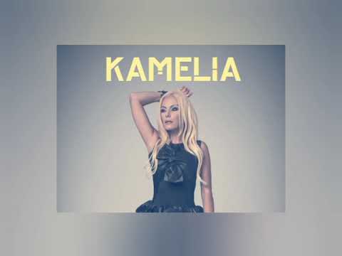 Kamelia - The Sunset And Dawn (Remix)