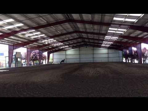 CQHA 2013 Summer Celebration JRV Amateur