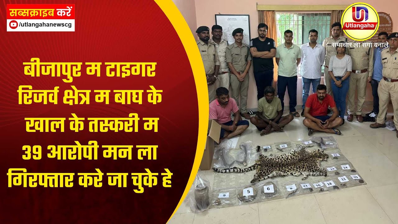 बीजापुर म टाइगर रिजर्व क्षेत्र म बाघ के खाल के तस्करी म  39 आरोपी मन ला गिरफ्तार करे जा चुके हे