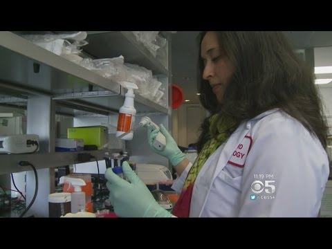 Human Germs and Bacteria Seen As Weapons In War Against Cancer