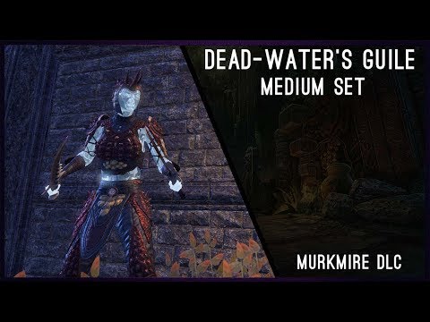 Dead-Water’s Guile Set Showcase Medium Armor