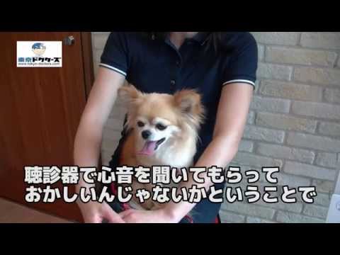 飼い主女性の声