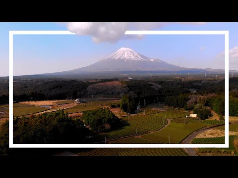 Actually the best Fuji View in Japan | Obuchi Sasaba Tea Fields in Shizuoka, Japan