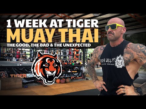 The Reality of Training at Tiger Muay Thai | 1 Week Inside the World’s Most Famous Gym