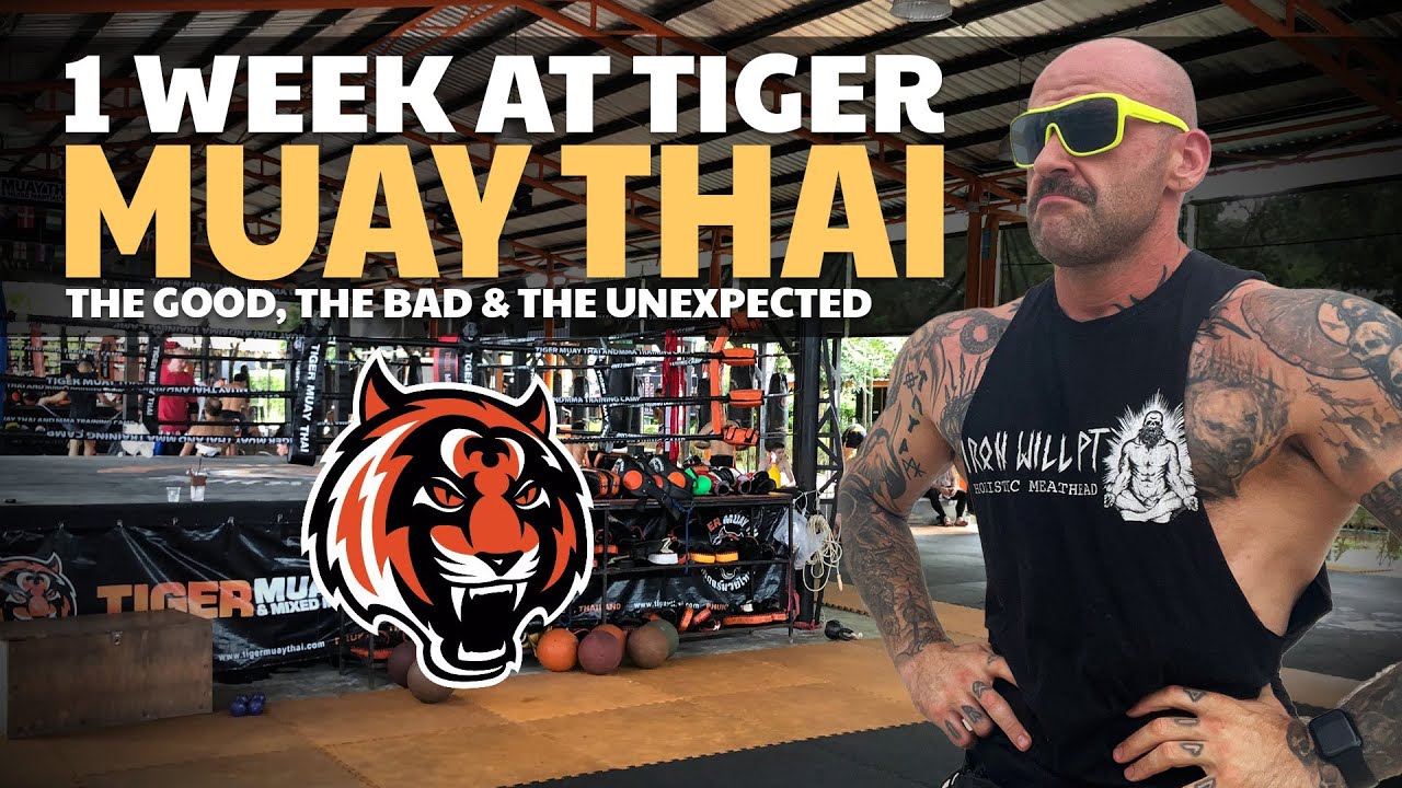 The Reality of Training at Tiger Muay Thai | 1 Week Inside the World's Most Famous Gym