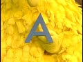 My Sesame Street Home Video Learning About Letters 1986 Back To School Edition ️