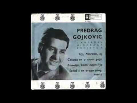 Предраг Гойкович + анс. "Семеро молодых" - Девойко мала, 1963 г. (Югославия)