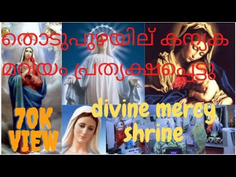 Mother Mary appeared in Thodupuzha: Divine Mercy Shrine of Holy Mary Thodupuzha