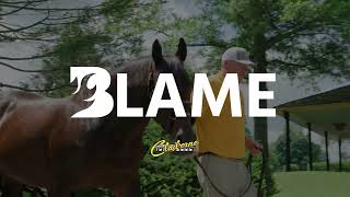 Claiborne Farm Blame June 2025