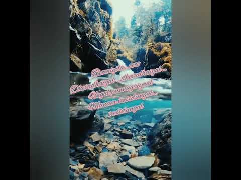 Aambala - Yaar Yenna sonnalum Lyrical Song