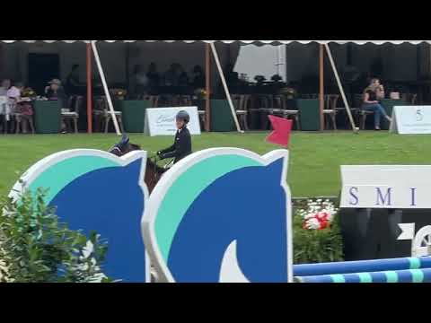 VDL Ironic video 5