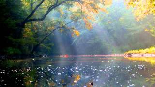 Paul McCartney - Summer Day Song (cover version)