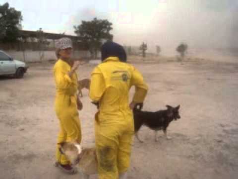 Vafa Animal Shelter In Hashtgard, Iran