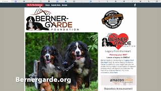 Berner-Garde 101: How to add a new dog to the database.
