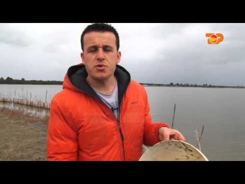 Ne Shtepine Tone, 16 Mars 2016, Pjesa 2 - Top Channel Albania - Entertainment Show