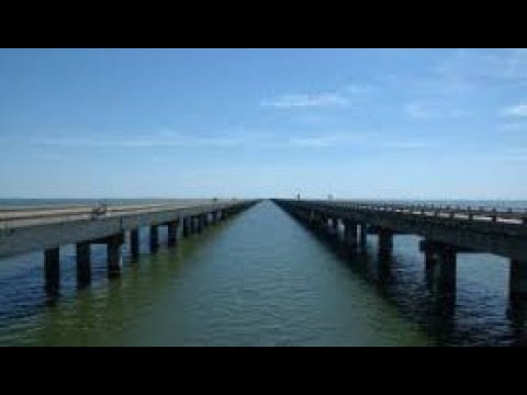 SciMax Facts 4 - Brilliant Bridges