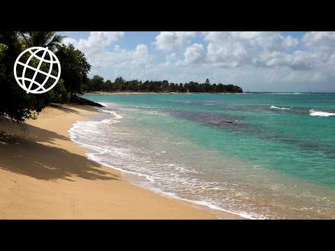 Guadeloupe: A Scenic Caribbean Escape  [Amazing Places 4K]