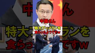 中国さん、特大ブーメランを食らったようですｗ #政治 #自民党 #外交 #高市 #ゆっくり解説