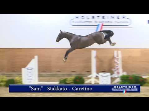 130. Sam v. Stakkato - Caretino