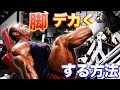 スクワットなしで太もも全体をデカくするために大事な一つの事【筋トレ】