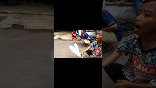 Download lagu LOMBA MERPATI BOCIL DEPAN GANG mp3 Download lagu LOMBA MERPATI BOCIL DEPAN GANG mp3