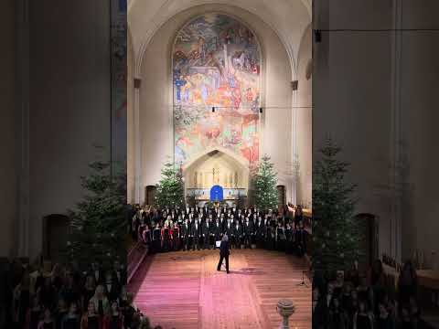 SDSU Concert Choir in Stockholm 20231230