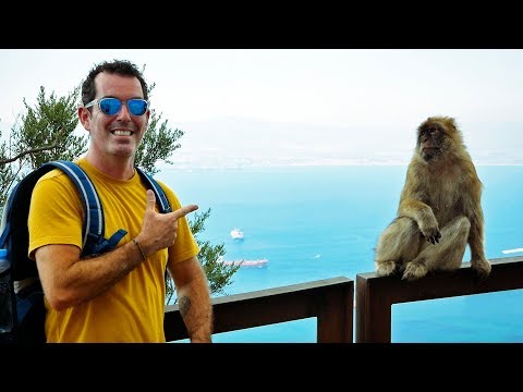 Spot The Monkey! On Top of the WORLD in Gibraltar | Sailing Vlog 77 | Sailing Ruby Rose