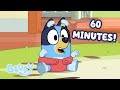 LIVE Run Your Own Race ️ 60 MINUTES Cute And Outdoorsy Moments Of Bluey More ️ Bluey
