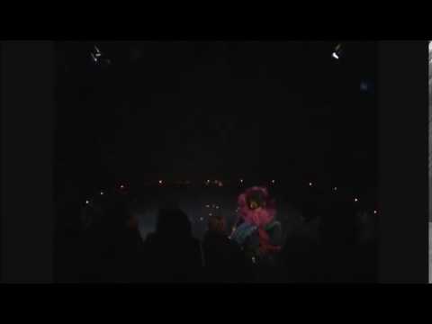 Maryam Freeflower - The Traveller