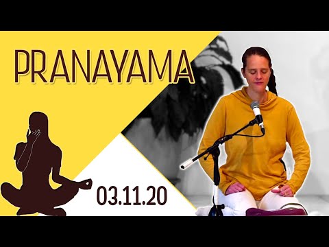 Pranayama mit Chitra 6.00 Uhr -  3.11.2020
