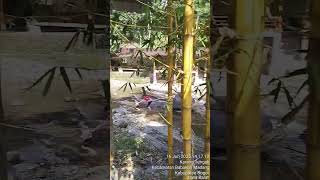 Download lagu Indahnya selalu berbagi kebahagiaan bersama2 mp3 Download lagu Indahnya selalu berbagi kebahagiaan bersama2 mp3