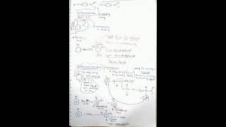 Chapter 11 Alcohol Phenols & Ethers (NOTES) Class 12 Chemistry Session 2021-2022