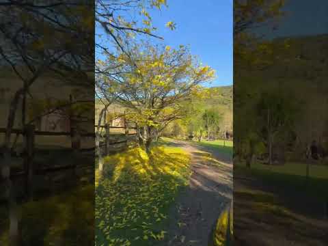 Recanto Feliz Vila Rica Ibicaré SC