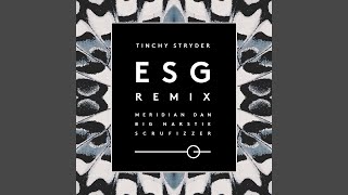 ESG (Remix)