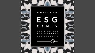 ESG (Remix)