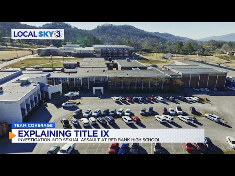 Title IX Investigation steps: what you should do in this situation